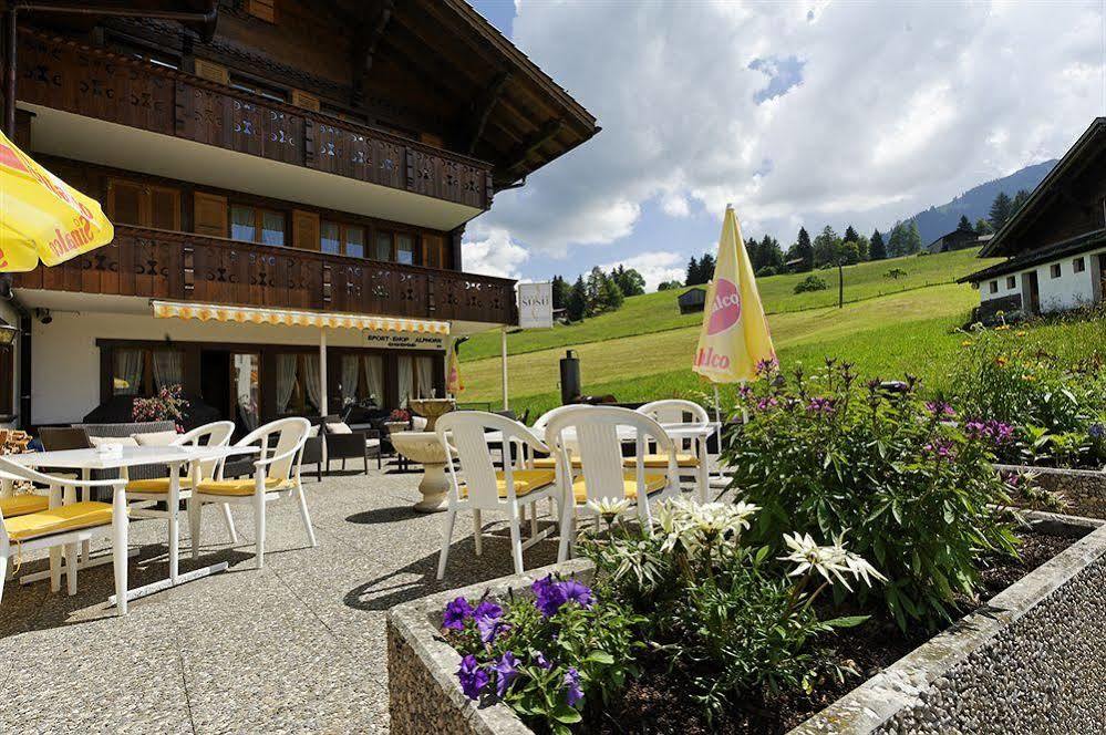 Alphorn Gstaad
