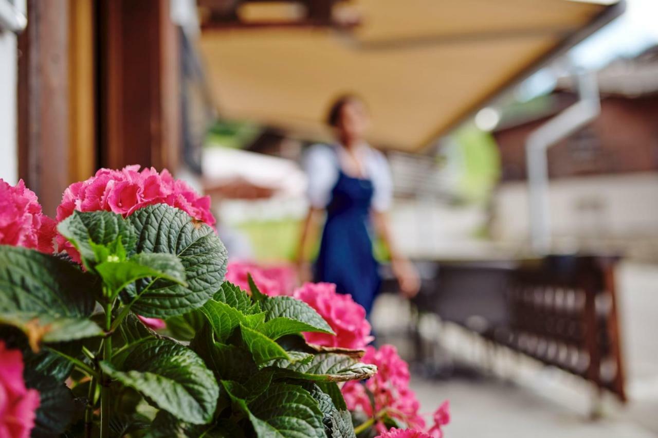 Alphorn Hotel